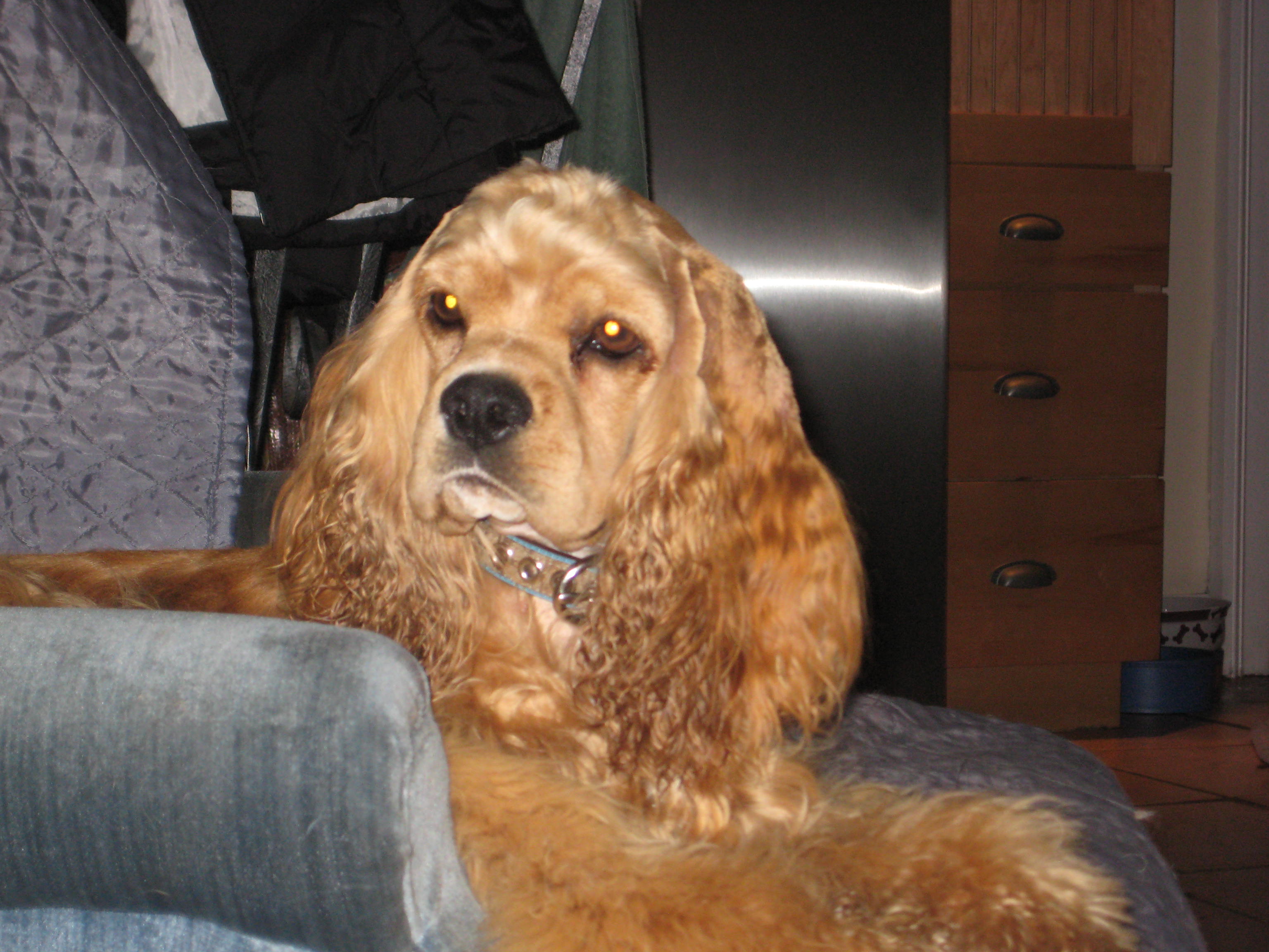 Sept08042.JPG